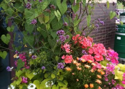 2010_0917iphonephotos0383