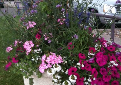2010_0917iphonephotos0390