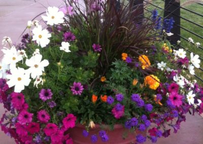 2010_0917iphonephotos0406